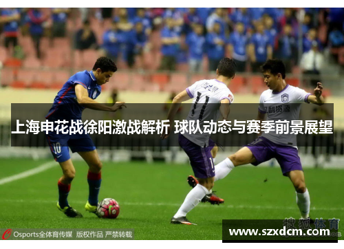 上海申花战徐阳激战解析 球队动态与赛季前景展望