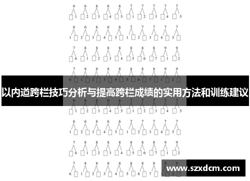 以内道跨栏技巧分析与提高跨栏成绩的实用方法和训练建议