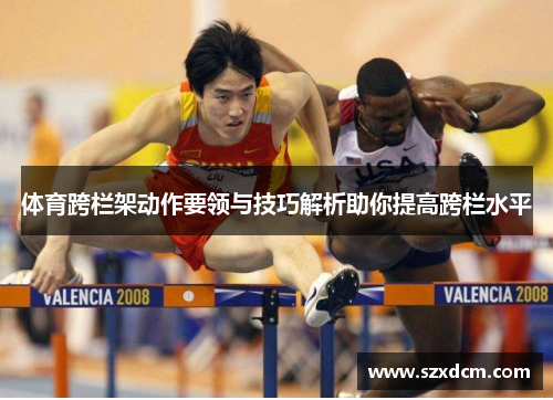 体育跨栏架动作要领与技巧解析助你提高跨栏水平