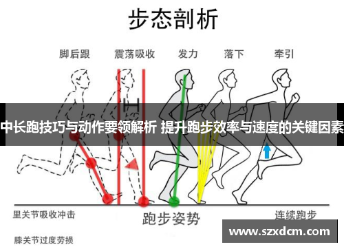 中长跑技巧与动作要领解析 提升跑步效率与速度的关键因素