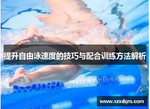 提升自由泳速度的技巧与配合训练方法解析