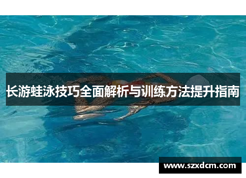 长游蛙泳技巧全面解析与训练方法提升指南