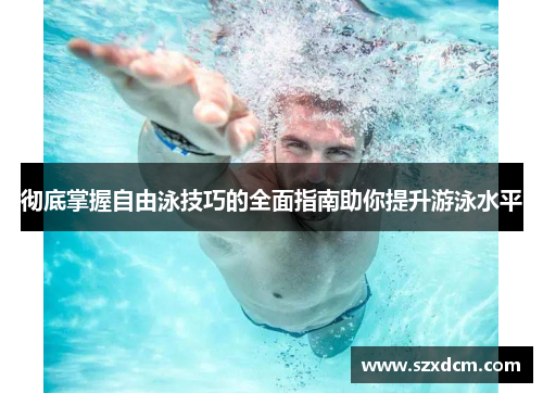 彻底掌握自由泳技巧的全面指南助你提升游泳水平